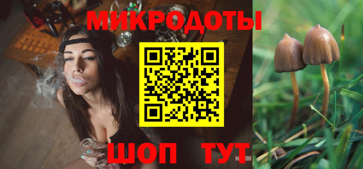 Псилоцибиновые грибы мицелий Нурлат