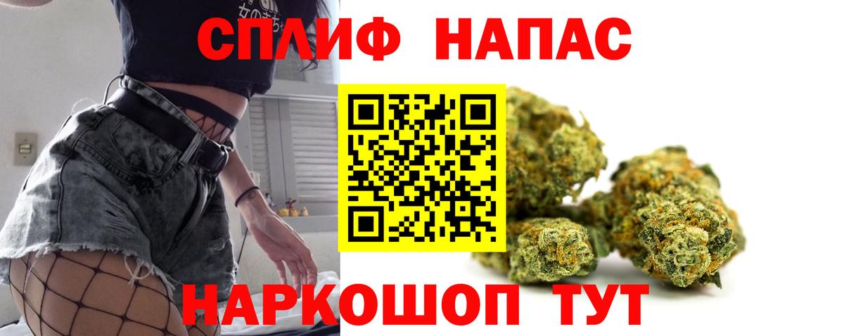 Бошки Шишки планчик Нурлат